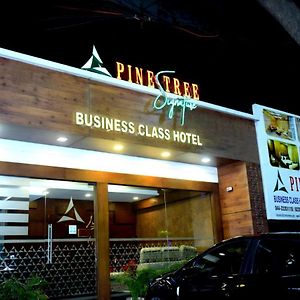 Pine Tree Signature